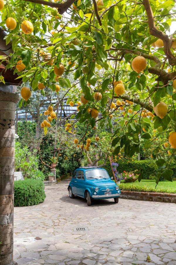 Villa Maresca B&B Пьяно-ди-Сорренто Экстерьер фото