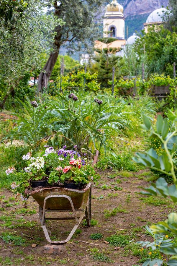Villa Maresca B&B Пьяно-ди-Сорренто Экстерьер фото
