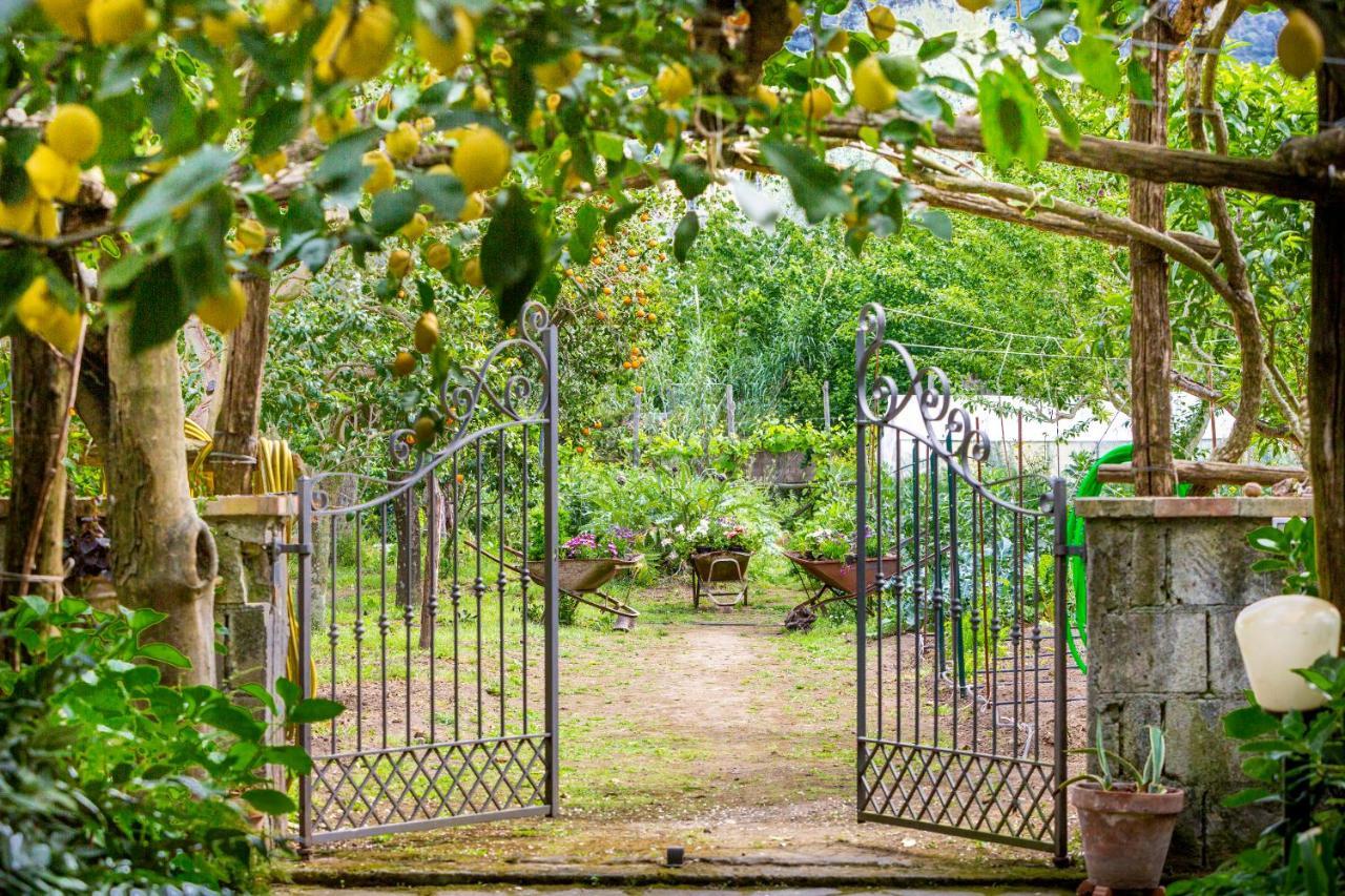 Villa Maresca B&B Пьяно-ди-Сорренто Экстерьер фото