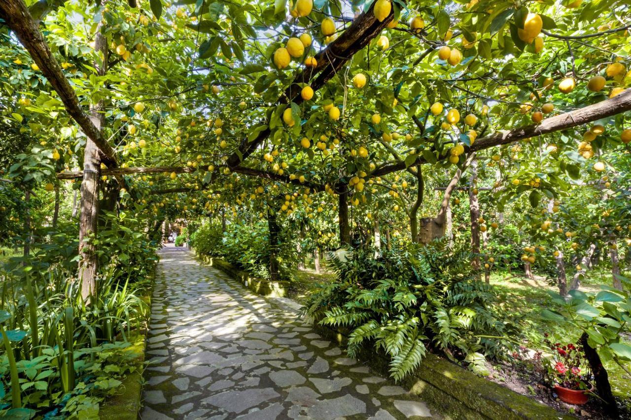 Villa Maresca B&B Пьяно-ди-Сорренто Экстерьер фото