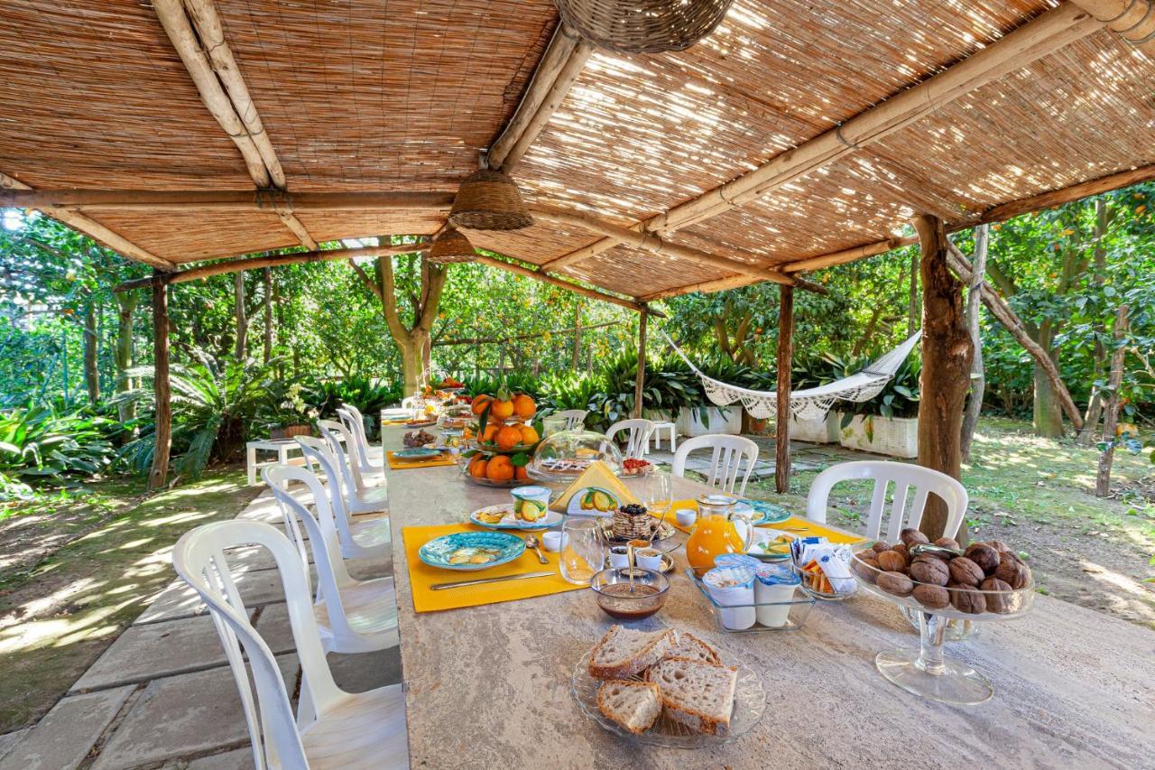 Villa Maresca B&B Пьяно-ди-Сорренто Экстерьер фото