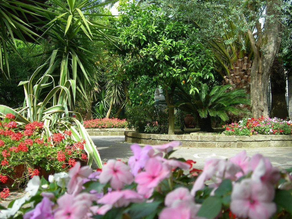 Villa Maresca B&B Пьяно-ди-Сорренто Экстерьер фото